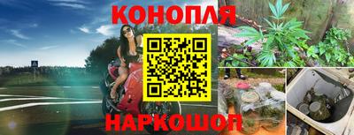 стафф Кунгур