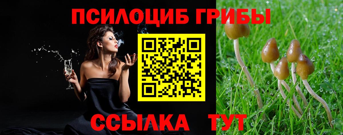Аксай  Галлюциногенные грибы мухоморы  Вход с VPN 