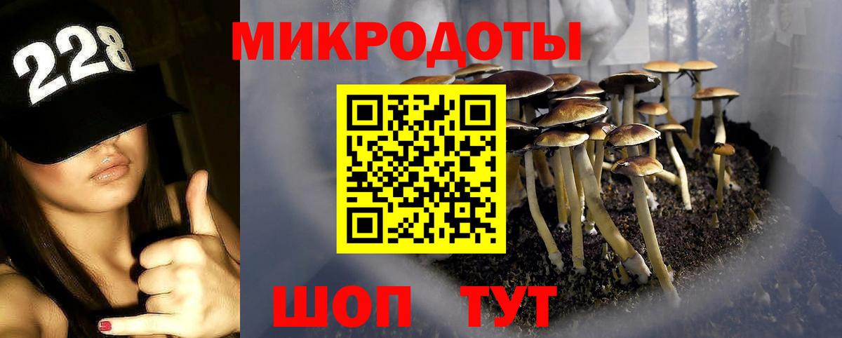 Псилоцибиновые грибы MAGIC MUSHROOMS Аксай